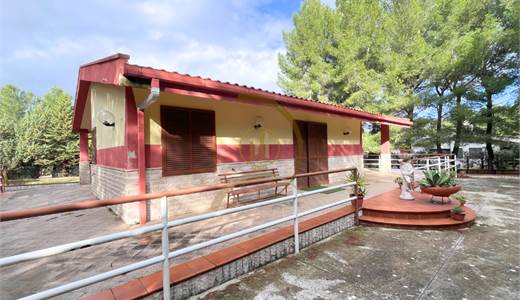 Villa Viale delle Rose (ANDRIA)